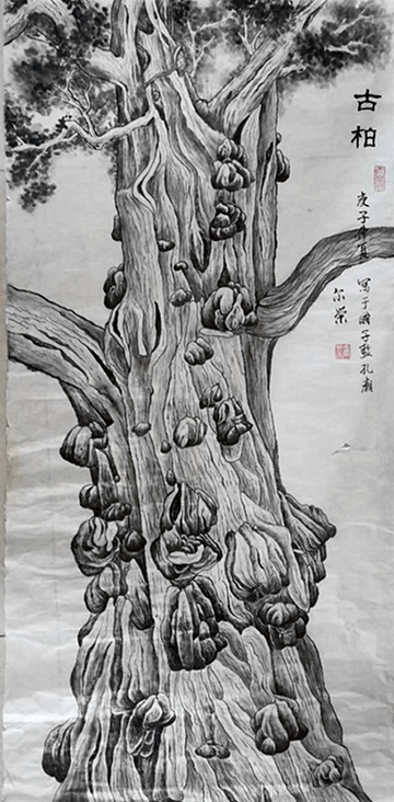 刘尔荣作品《古柏》（一）